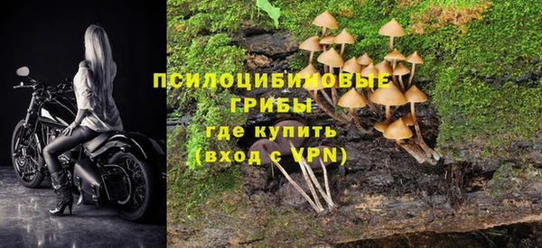 дурь Заволжск