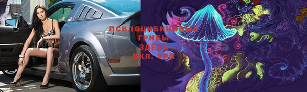 дмт Володарск