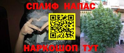 сатива Пенза