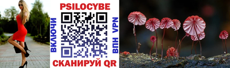 Псилоцибиновые грибы Psilocybe  Малоярославец 